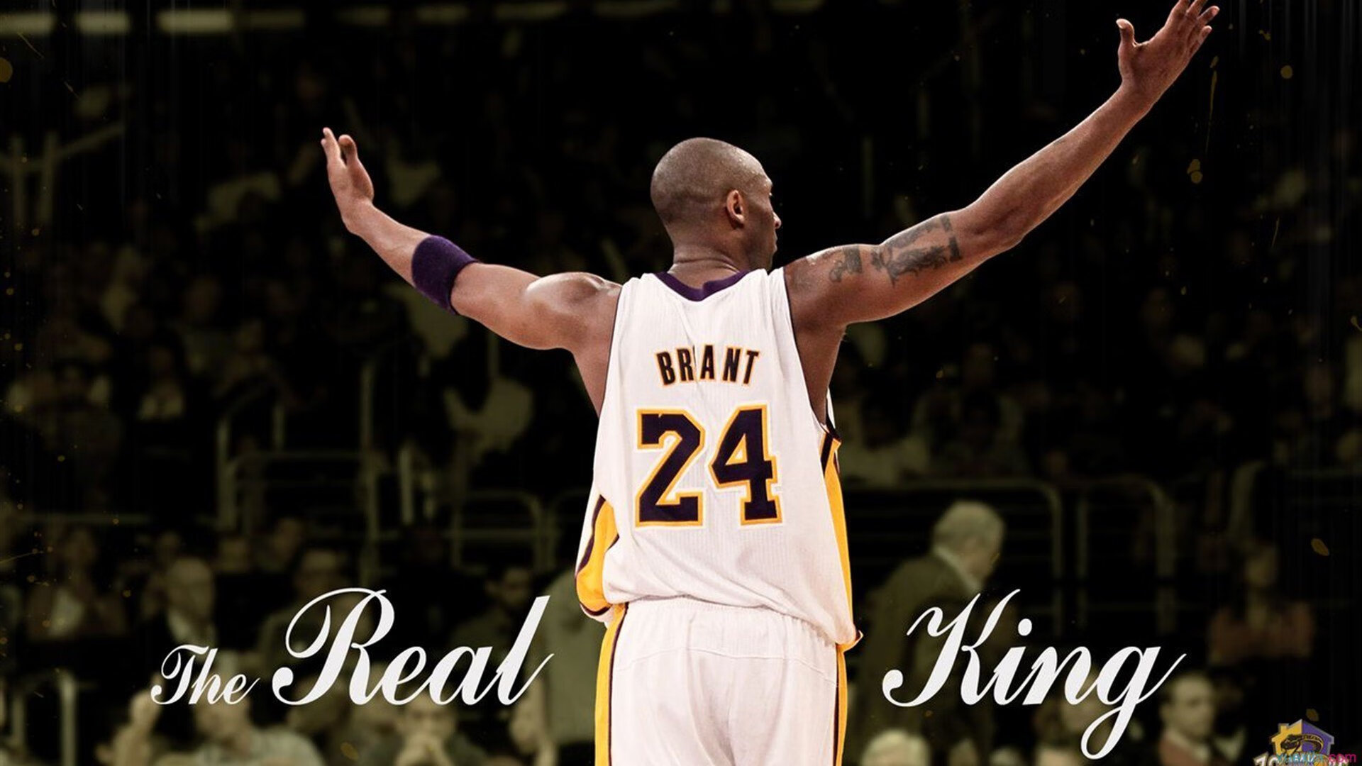 体育科技赋能未来，智能设备与数据分析重塑竞技场