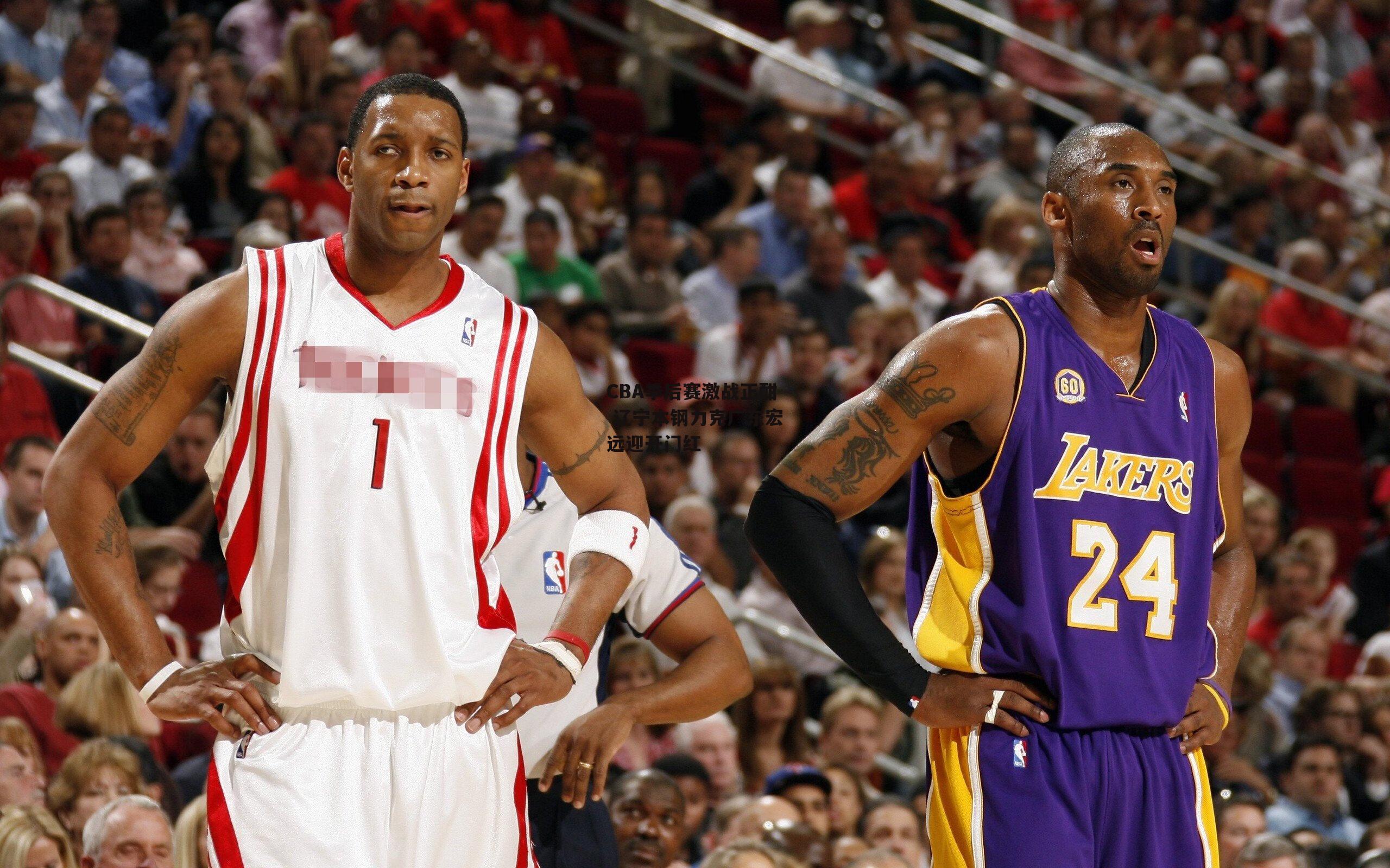 CBA季后赛激战正酣 辽宁本钢力克广东宏远迎开门红